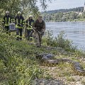 Šetala uz Dunav, pa ugledala DžINOVSKU zmiju Anakonda duga više od dva metra sunčala se na obali