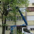 Komunalno održavanje u Kragujevcu: Aktivnosti jkp Šumadija za unapređenje infrastrukture grada