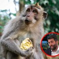 Gradonačelnik Aleksandar Šapić izbacuje strane životinje iz srpskog Zoo vrta