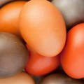 Farbanje jaja prirodnim bojama: Koje voće i povrće treba da koristite