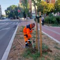 „MEDIANA“ UREĐUJE NIŠ: Čišćenje u centru i naseljima, košenje zelenih površina i orezivanje stabala