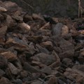 Rusija ima dovoljno uglja za više od 500 godina