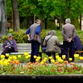 U Srbiji višak penzionera a manjak dece
