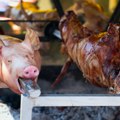 Odbeglo prase kod Kladova zapalilo region! Pečenje ispalo iz auta, završilo pored puta – meštani u neverici, društvene mreže…