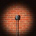 Dva dana smeha: Zrenjanin po prvi put domaćin međunarodnog stand up festivala!