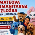 Za lečenje malog Matea humanitarna izložba kućnih ljubimaca niškom parku Čair