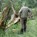 Nevreme uznemirilo poljoprivrednike: Šteta se još utvrđuje; Oglasilo se Ministarstvo