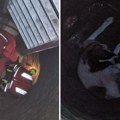 Vlasnik iz Srbije danima tražio psa, a onda je čuo cviljenje iz dubine: Evo gde su ga našli, pogled sve govori