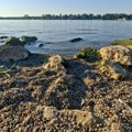 Vodostaji Dunava i Save lagano rastu, upozorenje RHMZ ostaje na snazi