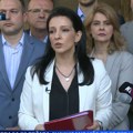 Umesto Anketnog odbora poslanici iz opozicije se obraćaju novinarima: Marinika Tepić pita vlast čega se uplašila