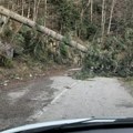 Olujni vetar napravio haos u zapadnoj Srbiji: Čupao drveće, blokirao saobraćaj (foto)