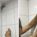 Uhvatio tarantulu, pa se pokajao: Mladić doživeo bolno iskustvo i pokazao kako mu izgleda ruka