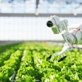 Mogu li roboti koji pleve njive od korova da ukinu potrebu za pesticidima