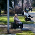 Ženu ubilo drvo u parku: Gledala decu kako se igraju, pa tragično nastradala: Jak vetar oborio stablo, odjednom se samo…