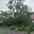 Snažno nevreme protutnjalo kroz Čačak: Stabla čupalo iz korena, na sve strane slomljene grane