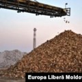 Prepreke izvozu šećera iz Srbije u Moldaviju uprkos CEFTA sporazumu