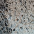 U italijanskom nacionalnom parku otkrivene hiljade otisaka dinosaurusa