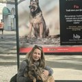 Još stignete upoznati svog ljubimca – na Zrinjevcu izložba pasa koji traže dom