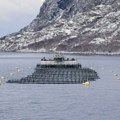 Alarmantan izveštaj Riblje farme značajno zagađuju fjordove: Evo šta sve ispuštaju u more!