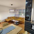 Ponuda nekretnina u Novom Sadu: Od novogradnje do lokala