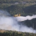 Ovo drvo je dežurni krivac za požare na Jadranu: Stručnjaci otkrivaju šta zapravo stoji iza katastrofe kod Omiša