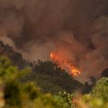 Regionalni predsednik Kanarskih ostrva: Požar na Tenerifima podmetnut