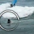 Drama na moru Jezivo stvorenje ugrizlo devojčicu za nogu i povuklo u dubine – borba za život koja je šokirala sve! (video)