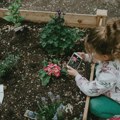 Baštenske leje, kućice za ptice: Pokrenuta kampanja da vrtići i škole dobiju „Naučno igralište“