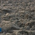 Uz Dan zemljišta podsećanje: Trka za profitom uništila 300 hiljada hektara srpskih oranica