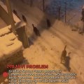 Građani Novog Pazara uznemireni: ponovo napadi pasa lutalica (VIDEO)