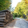 Pravilno čuvanje drva za ogrev štedi vreme i novac Evo četiri važna saveta