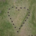 Srce od 21 stabla crvenog hrasta na Ušću: Sećanje na ubijene u „Ribnikaru“
