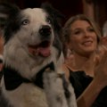 Demistifikovani trenuci ovogodišnjeg Oskara: Kako je pas Mesi aplaudirao i da li je Džon Sina bio zaista go