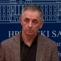 Pupovac postao predsednik odbora Sabora Hrvatske za manjine uprkos protivljenju Domovinskog pokreta