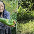 Mirjana ima 99 godina, lekara nije posetila od 2014: Njeni saveti za dugovečnost su zlata vredni "Svakog jutra uradim istu…