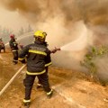 U Topličkom okrugu 113 požara u junu, najviše gori nisko rastinje