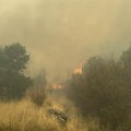 Odbranjene kuće u Čanju od vatrene stihije: Pred vatrogascima teška borba, vetar otežava gašenje požara