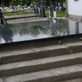 Uklonjen spomenik sa ustaškim simbolima u Modranu kod Dervente