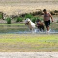 Dunav u Srbiji u blagom porastu, u Hrvatskoj jedna reka na četiri centimetra