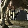 Cena mleka dugoročni problem mlečnog govedarstva