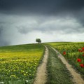 U ČETVRTAK PROMENLjIVO I MALO SVEŽIJE, i oblaci i sunce, ponegde pljuskovi