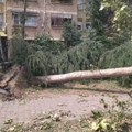 Poziv novosadskog gradskog zelenila: Do 24. avgusta prijava štete na stambenim objektima izazvane nevremenom