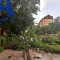 Tragedija izbegnuta za dlaku: Nevreme oborilo ogromno stablo na ulicu u centru grada, pukom srećom nijedno vozilo u tom…