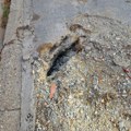 Parking mesto u Skerlićevoj