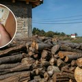 Купујте огрев док је још јефтинији: Ова врста дрвета даје најдужу топлоту и највише штеди новац