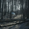 Da li je ovo objašnjenje za loš odgovor države u Deliblatskoj peščari: Usvojen zakon kojim se dozvoljava gradnja na šumskom…