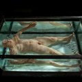 Muzej savremene umetnosti u Beogradu – Izložba „Zharko Basheski: Korporealnost“