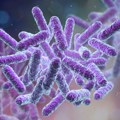 Kako „dobre bakterije“ postaju otporne na antibiotike