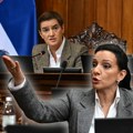 "U sledećoj rezoluciji da osude i one pčele ubice": Tepić i Brnabić u klinču zbog zvučnog topa i Evropskog parlamenta