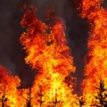 Gori halkidiki! Požar u omiljenim srpskim letovalištima, 37 vatrogasaca i helikopter se bore sa vatrom